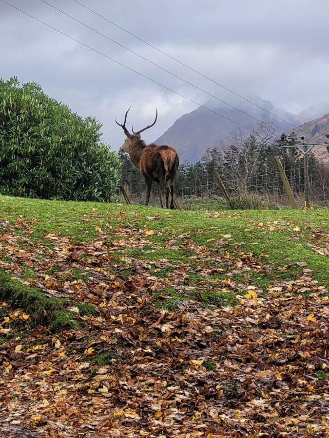 Вилла Ormasaig, Self Catering, One Mile To Town & Close To Ben Nevis Форт-Уильям Экстерьер фото