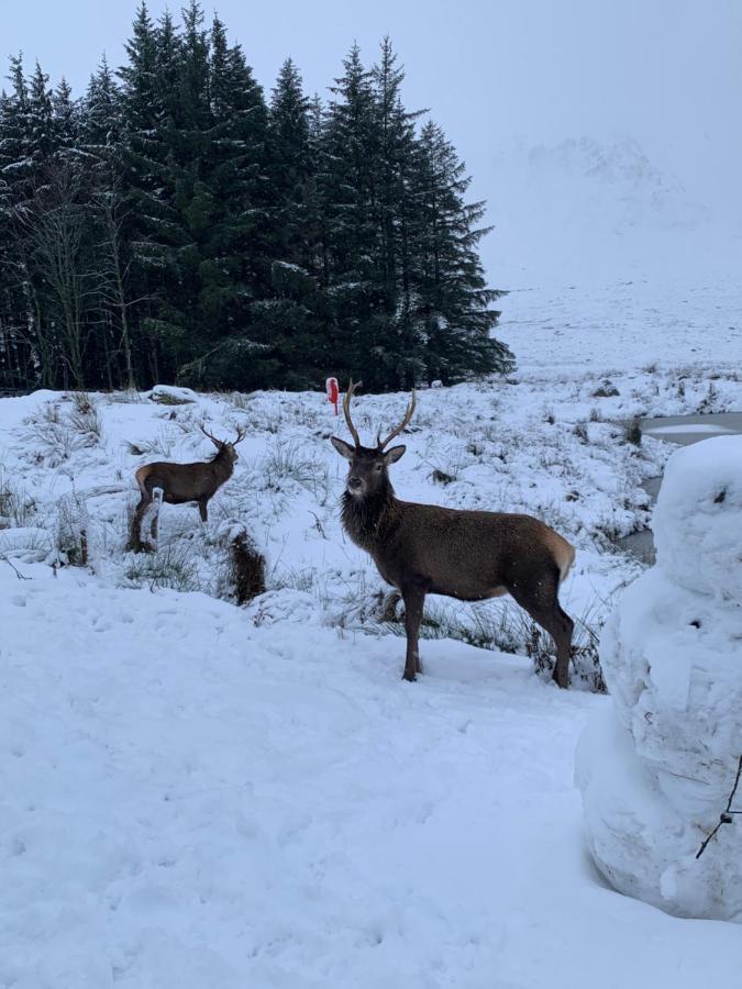 Вилла Ormasaig, Self Catering, One Mile To Town & Close To Ben Nevis Форт-Уильям Экстерьер фото